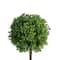 17&#x22; Green Artificial Boxwood Topiary in Distressed Paper Mache Pot